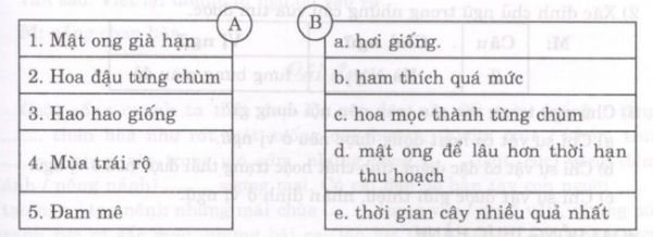 Soạn bài Hương vị hấp dẫn