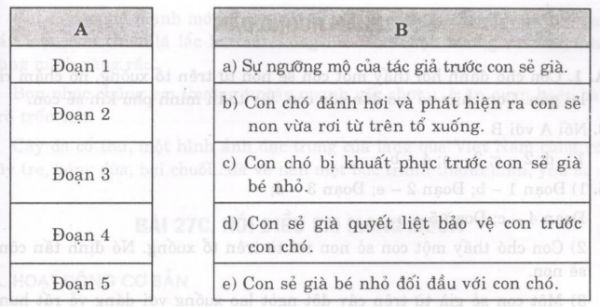 suc manh cua tinh mau tu cau 5