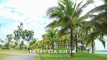 Tả cây dừa quê em