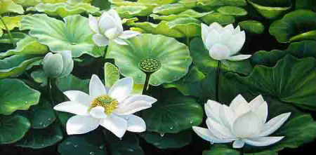 Tả một cây hoa