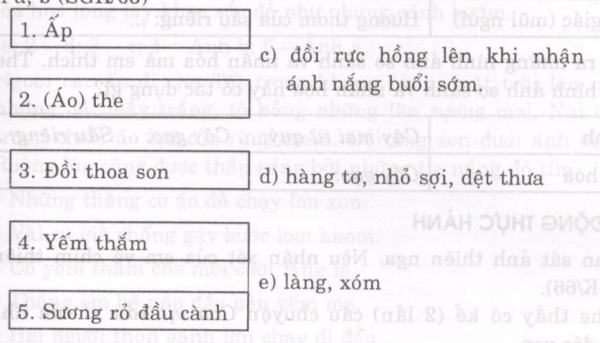 Soạn bài Thế giới của sắc màu