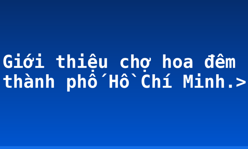 Giới thiệu chợ hoa đêm thành phố Hồ Chí Minh.>