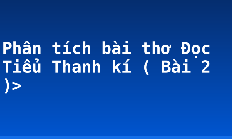 Phân tích bài thơ Đọc Tiểu Thanh kí ( Bài 2 )>
