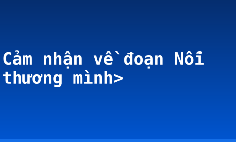Cảm nhận về đoạn Nỗi thương mình>