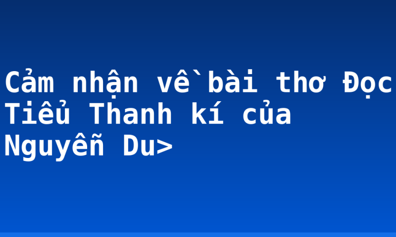 Cảm nhận về bài thơ Đọc Tiểu Thanh kí của Nguyễn Du>