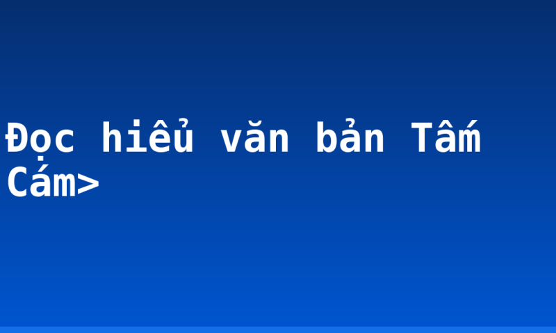 Đọc hiểu văn bản Tấm Cám>