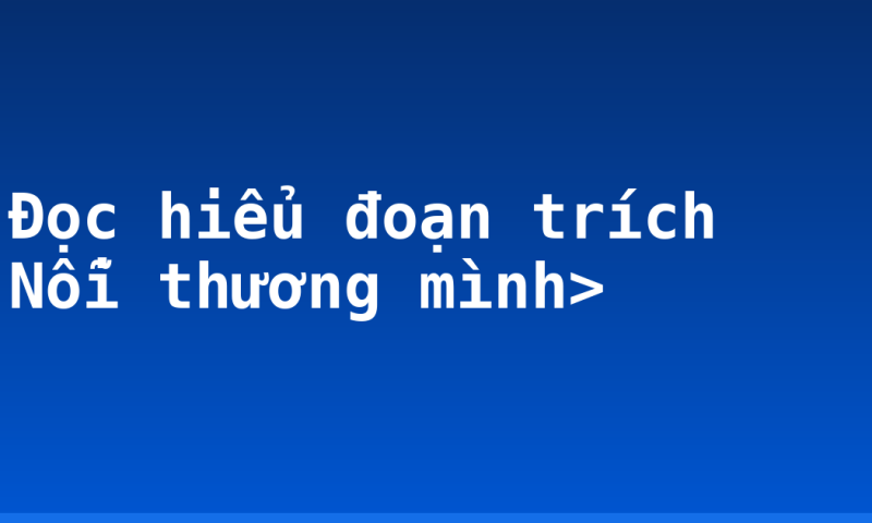 Đọc hiểu đoạn trích Nỗi thương mình>