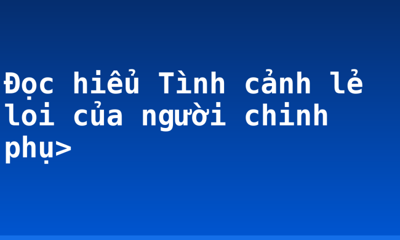 Đọc hiểu Tình cảnh lẻ loi của người chinh phụ>