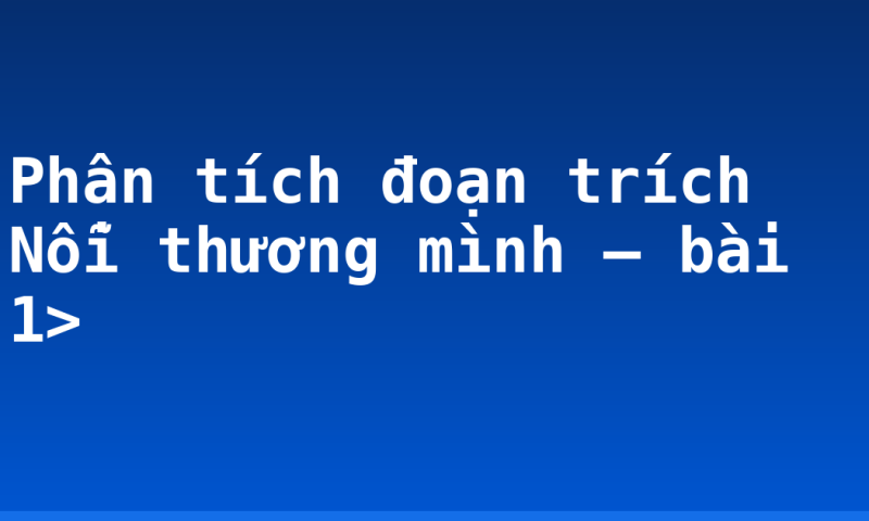 Phân tích đoạn trích Nỗi thương mình – bài 1>