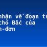 Cảm nhận về đoạn trích Con chó Bấc của G.Lân-đơn