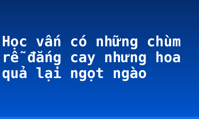 Học vấn có những chùm rễ đắng cay nhưng hoa quả lại ngọt ngào