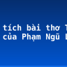 Phân tích bài thơ Tỏ Lòng của Phạm Ngũ Lão