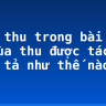Cảnh thu trong bài Câu cá mùa thu được tác giả miêu tả như thế nào?