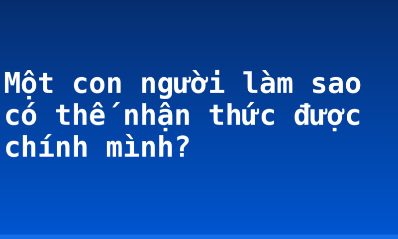 Một con người làm sao có thế nhận thức được chính mình?