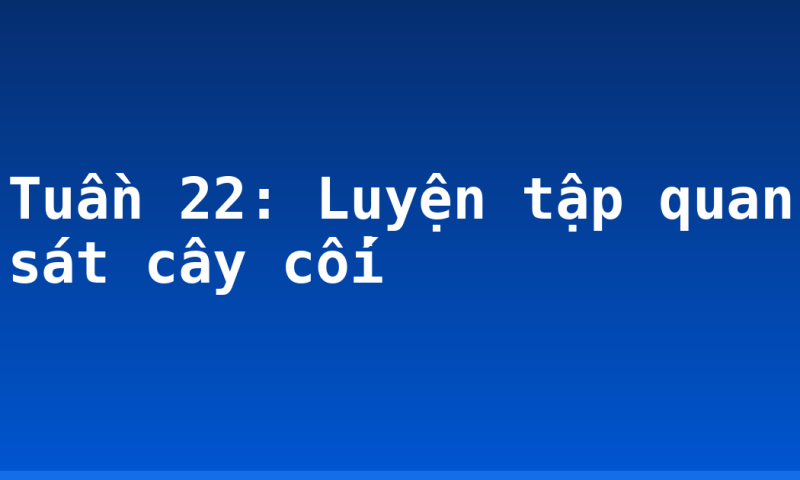 Tuần 22: Luyện tập quan sát cây cối