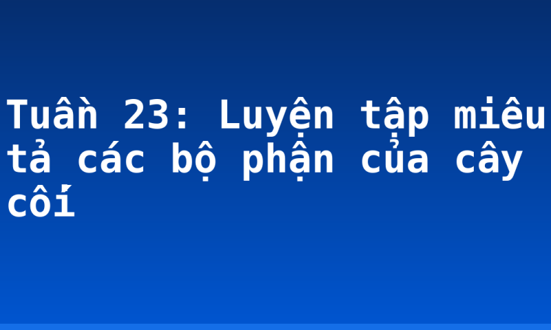 Tuần 23: Luyện tập miêu tả các bộ phận của cây cối