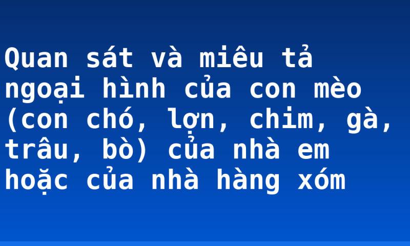 Quan sát và miêu tả ngoại hình của con mèo (con chó, lợn, chim, gà, trâu, bò) của nhà em hoặc của nhà hàng xóm