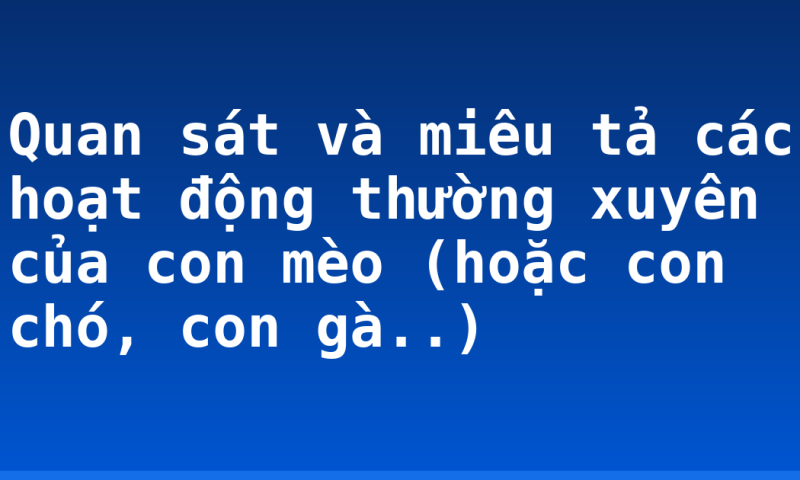Quan sát và miêu tả các hoạt động thường xuyên của con mèo (hoặc con chó, con gà..)