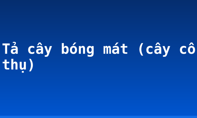 Tả cây bóng mát (cây cổ thụ)
