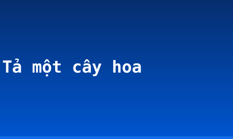 Tả một cây hoa