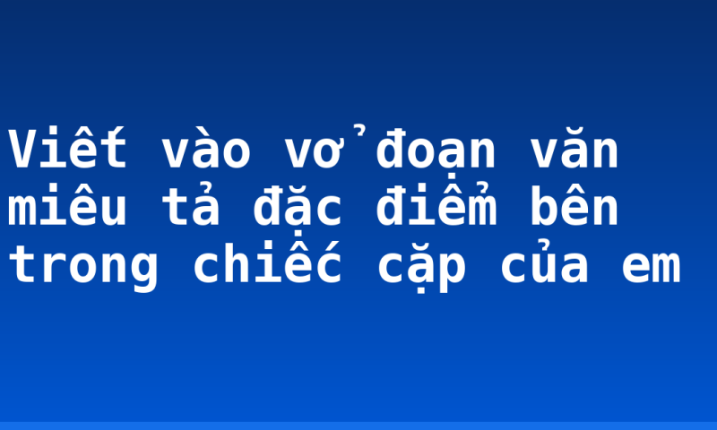 Viết vào vở đoạn văn miêu tả đặc điểm bên trong chiếc cặp của em