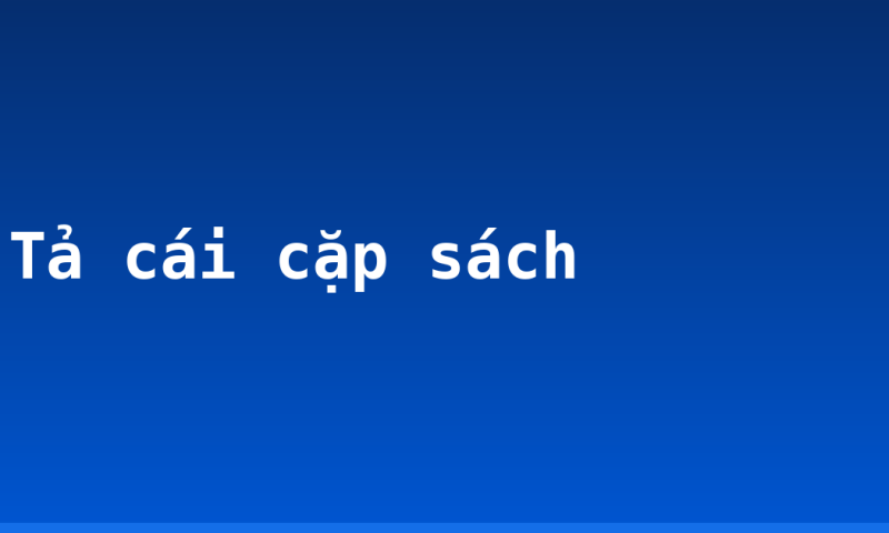 Tả cái cặp sách