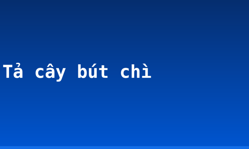 Tả cây bút chì