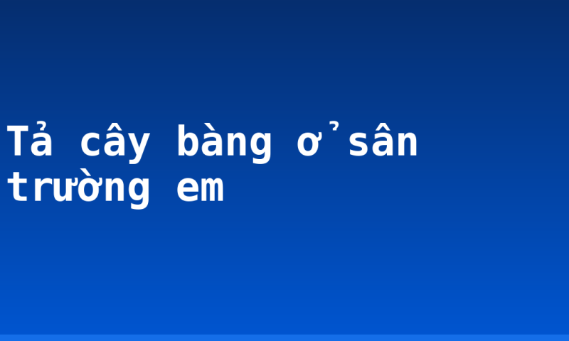 Tả cây bàng ở sân trường em