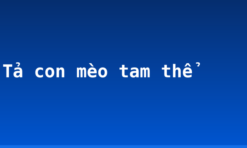 Tả con mèo tam thể