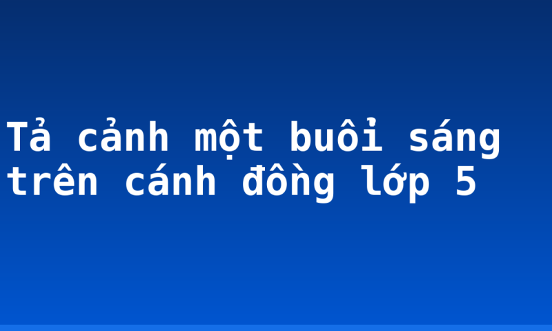 Tả cảnh một buổi sáng trên cánh đồng lớp 5