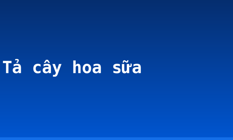 Tả cây hoa sữa