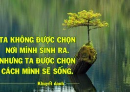 Soạn bài Sức mạnh của con người