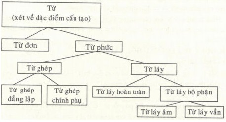 Soạn bài tổng kết từ vựng lớp 9 HK 1