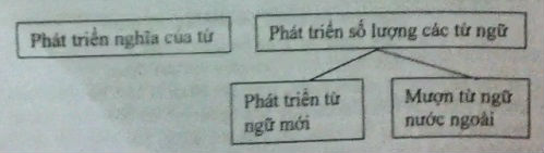 Soạn bài tổng kết từ vựng tiếp theo (tiết 3)