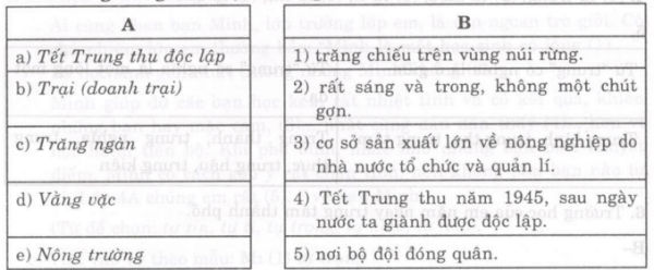 Soạn bài Ước mơ của anh chiến sĩ