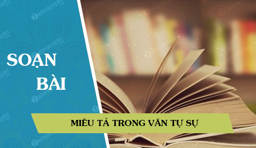 soan bai mieu ta trong van tu su Soạn bài lớp 9: Miêu tả trong văn bản tự sự