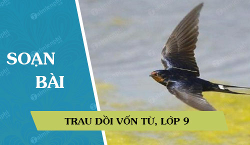 soan bai trau doi von tu lop 9 37872 Soạn bài lớp 9: Trau dồi vốn từ