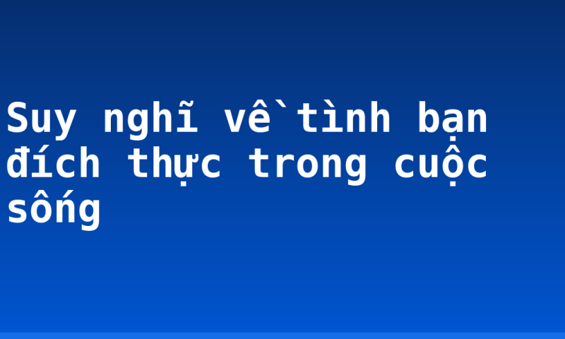 Suy nghĩ về tình bạn đích thực trong cuộc sống