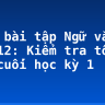 Giải bài tập Ngữ văn lớp 12: Kiểm tra tổng hợp cuối học kỳ 1