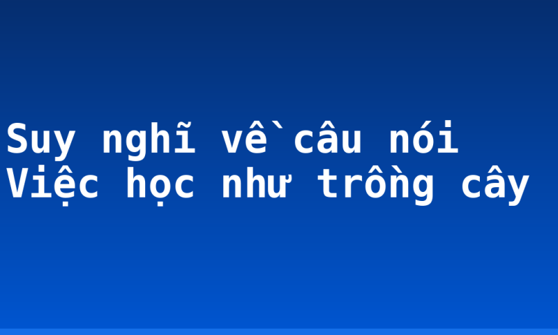 Suy nghĩ về câu nói Việc học như trồng cây