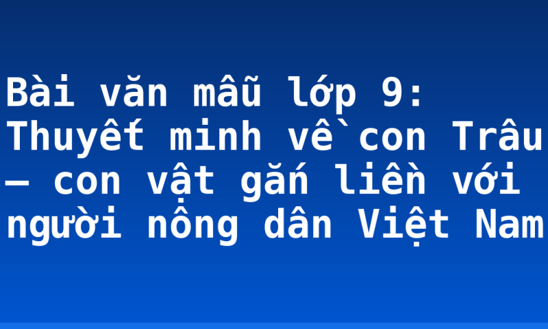 Bài văn mẫu lớp 9: Thuyết minh về con Trâu – con vật gắn liền với người nông dân Việt Nam