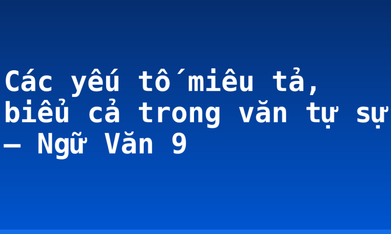 Các yếu tố miêu tả, biểu cả trong văn tự sự – Ngữ Văn 9