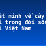 Thuyết minh về cây chuối trong đời sống người Việt Nam