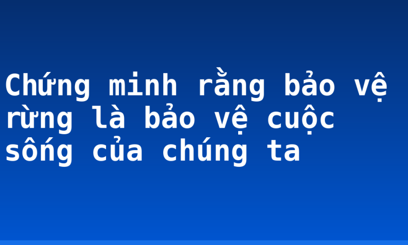 Chứng minh rằng bảo vệ rừng là bảo vệ cuộc sống của chúng ta