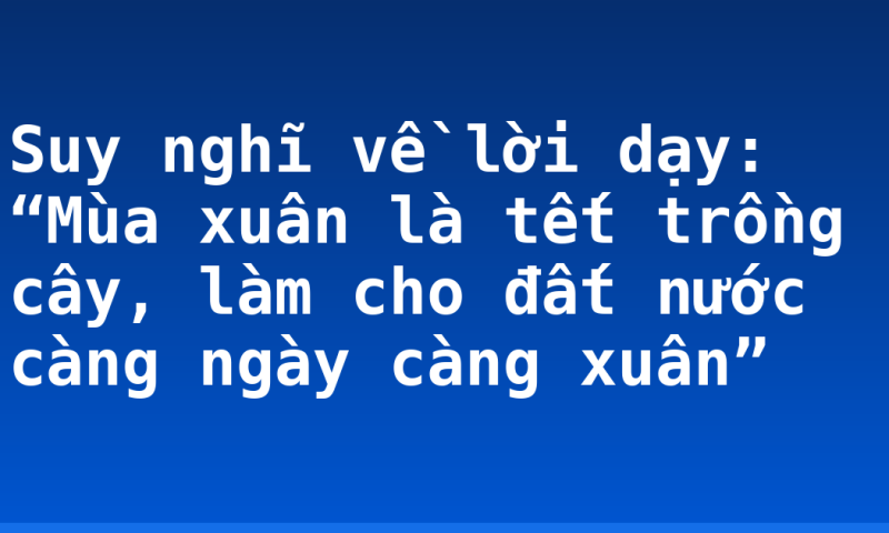 Suy nghĩ về lời dạy: “Mùa xuân là tết trồng cây, làm cho đất nước càng ngày càng xuân”