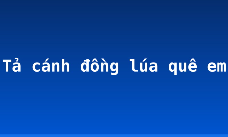 Tả cánh đồng lúa quê em