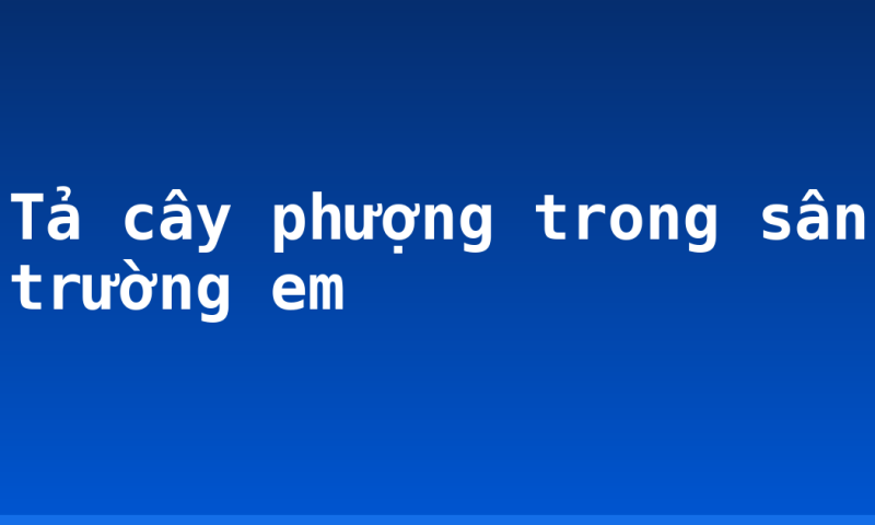Tả cây phượng trong sân trường em