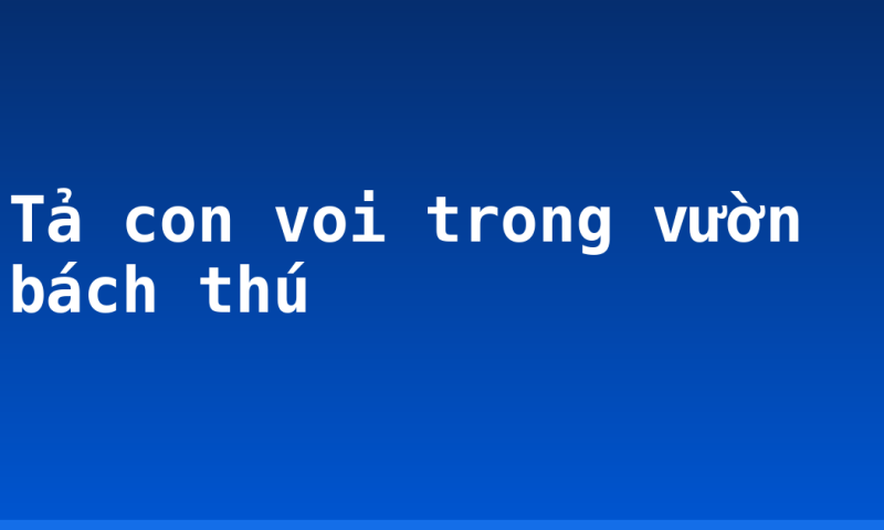 Tả con voi trong vườn bách thú