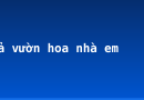 Tả vườn hoa nhà em