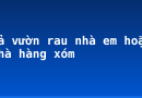 Tả vườn rau nhà em hoặc nhà hàng xóm